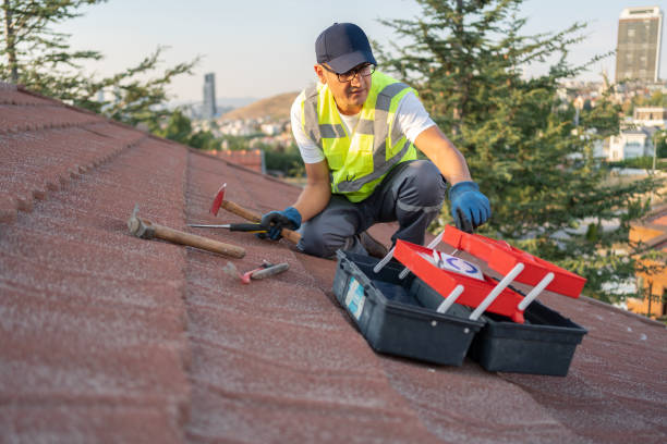 Best Fiber Cement Siding Installation  in Mccamey, TX